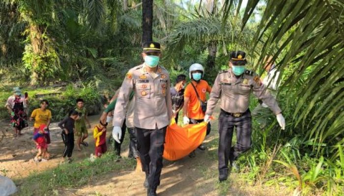 Penemuan Mayat Di Aliran Sungai Dalu-Dalu, Kapolsek Indrapura Turun Langsung Ke TKP Bantu Proses Evakuasi