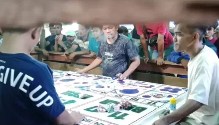 Maraknya Judi Sabung Ayam dan Judi Dadu, Polsek Muara Wahau Seakan Tutup Mata dan Melegalkannya