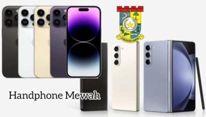 DPN PETIR Soroti Pengadaan Handphone Mewah Senilai 1 Milyar Lebih Bagi Pejabat di Pemkab Kampar