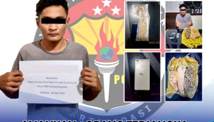 Pengaruh Konsumsi Ganja, Seorang Anak di Payakumbuh Tega Menganiaya Orangtua Kandungnya