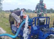 Babinsa Koramil 0808/16 Talun Laksanakan Kegiatan Pendampingan ‘Pompanisasi’ Untuk Optimalisasi Pengairan Sawah di Desa Tumpang