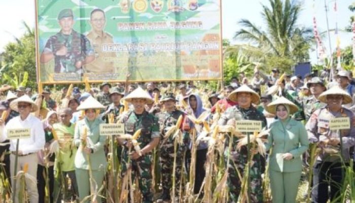 Pangdam IX/Udayana Pimpin Langsung Panen Raya Jagung dan Deklarasi Patriot Pangan Bersama Kelompok Tani Pade Angen