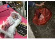 Warga Batu Enam Dihebohkan Dengan Penemuan Bayi Terbungkus Plastik di Tepi Jalan Murlyorejo Rohil