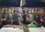 Satgas Yonif 122/TS Berhasil Amankan Pelaku dan Barang Bukti Penyelundupan Narkoba Jenis Ganja Sebanyak 1,5 Kg di Kampung Kalibom Papua
