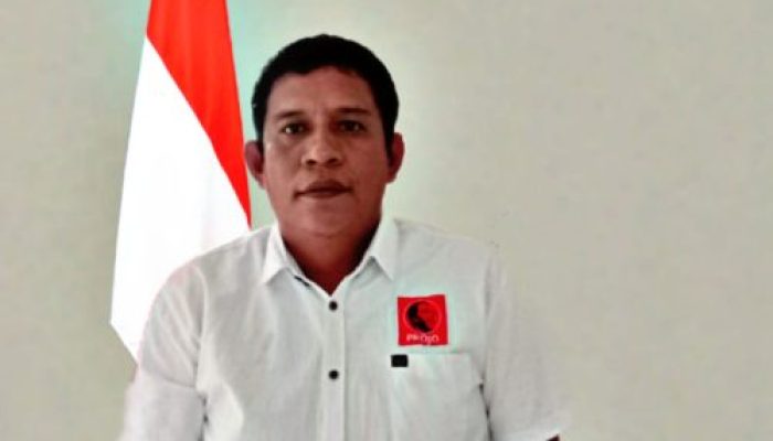 Bergerak Ke Jakarta, Langkah Tegas Gerlamata Minta Presiden Jokowi Cabut Izin PT. RIMBA PRANAP INDAH (RPI)