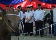 Didampingi Sekdako Pekanbaru, Pj Walikota Pekanbaru Risnandar Mahiwa Saksikan Penyembelihan Hewan Qurban di MPP