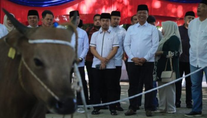 Didampingi Sekdako Pekanbaru, Pj Walikota Pekanbaru Risnandar Mahiwa Saksikan Penyembelihan Hewan Qurban di MPP