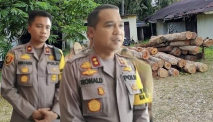 Berantas Ilegal Logging, Kapolres Kampar AKBP Ronald Sumaja: Tidak Ada Ruang Bagi Para Mafia Ilegal Logging Di Kampar