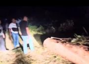 5 Pelaku Ilegal Logging di Desa Siabu Diringkus Polres Kampar