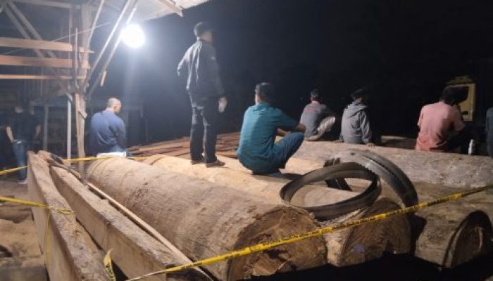 Polres Kampar Ungkap Kasus Ilegal Logging di Sawmil Terbesar Diwilayah Hukumnya