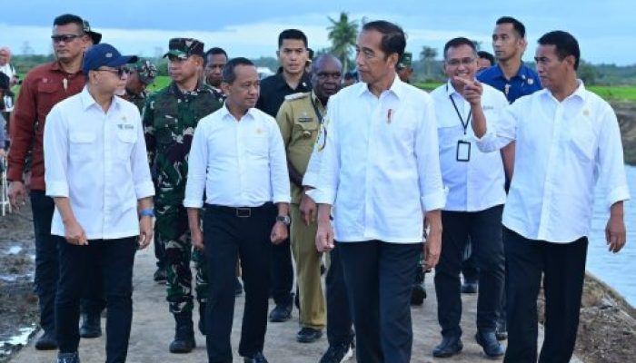 Panglima TNI Dampingi Presiden RI Tinjau Hanpangan Nasional di Merauke, Papua Selatan