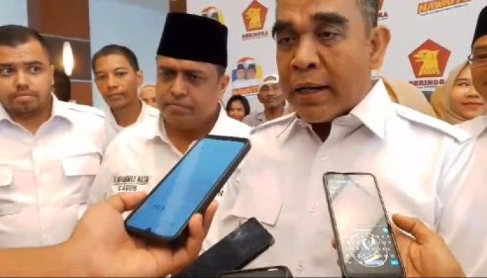 Dugaan Perselingkuhan Kader Partai Gerindra ‘Jhon Kanedy’, Ini Tanggapan Sekjen Partai Gerindra