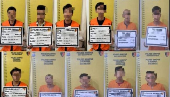 Dampak Buruk Bagi Pelaku Ilegal Logging, Begini Nasib nya Sekarang