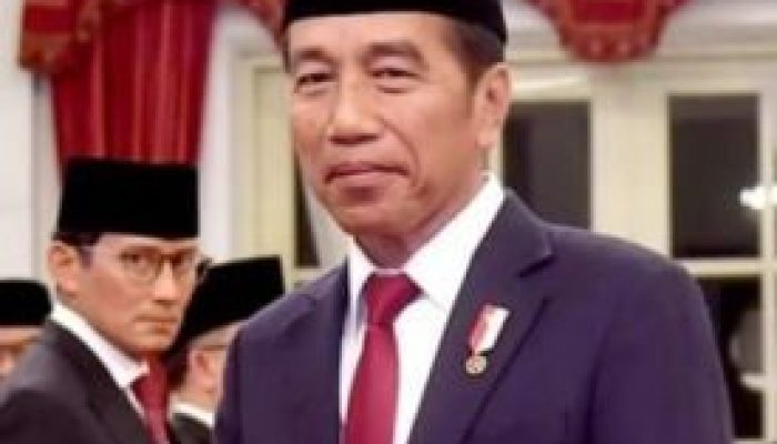 Jokowi Dikabarkan akan Resuffle Sejumlah Menteri, Raja Juli Antoni Jadi Menteri LHK?