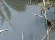 Lagi lagi Limbah PKS PT SKA,Mencemari Aliran Sungai Siabu Sumbek