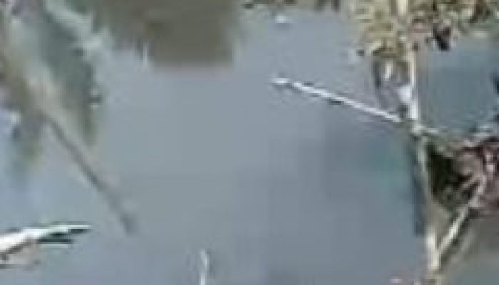 Lagi lagi Limbah PKS PT SKA,Mencemari Aliran Sungai Siabu Sumbek