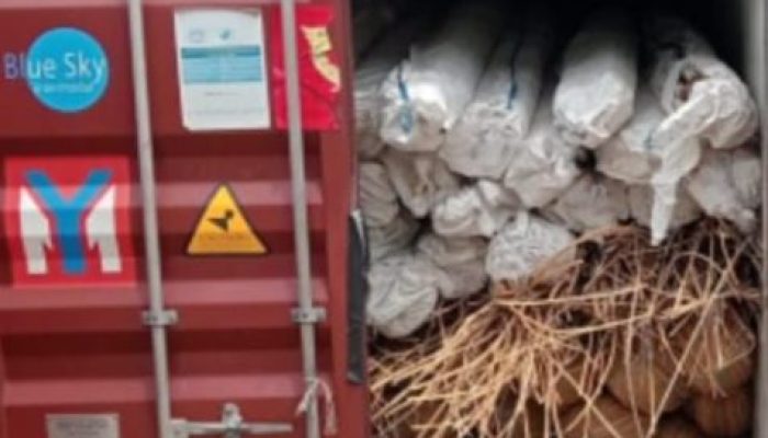 Upaya Penyelundupan Rotan Ilegal Sebanyak 8 Kontiner di Bongkar Secata Tertutup Oleh Bea Cukai Pontianak
