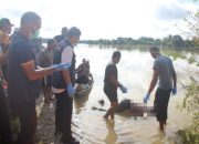 Misteri Mayat Mengapung di Sungai Kampar, Korban Diduga Tenggelam