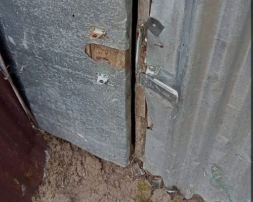 Aksi Pencurian Sarang Walet diTeluk Meranti Membuat Resah Dan Geram Warga, Polisi diMinta Bertindak Tegas