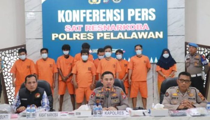 27 Tersangka Jaringan Pengedar Ganja Diamankan Satnarkoba Polres Pelalawan Dalam 1 Bulan