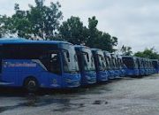 Kebijakan Walikota, Angkutan Trans Metro Pekanbaru Mulai 11 Maret 2025, Gratis Bagi Pelajar