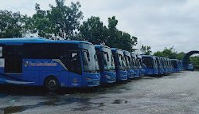 Kebijakan Walikota, Angkutan Trans Metro Pekanbaru Mulai 11 Maret 2025, Gratis Bagi Pelajar