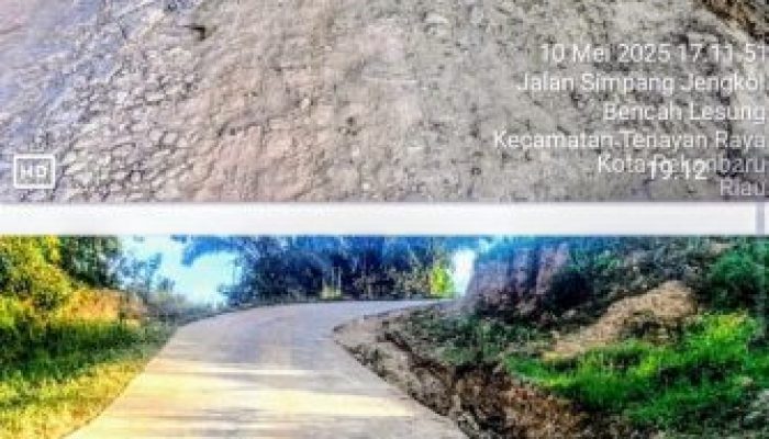 Polsek Tenayan Raya dan Pemko Pekanbaru Tutup Aktifitas Tanah Urug Simanjuntak Group di Kelurahan Sialang Sakti