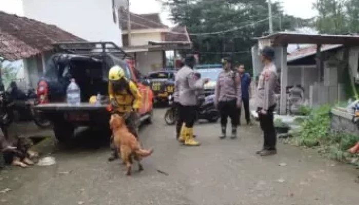 Libatkan Anjing Pelacak Polisi Kembali Cari Korban Longsor di Trenggalek
