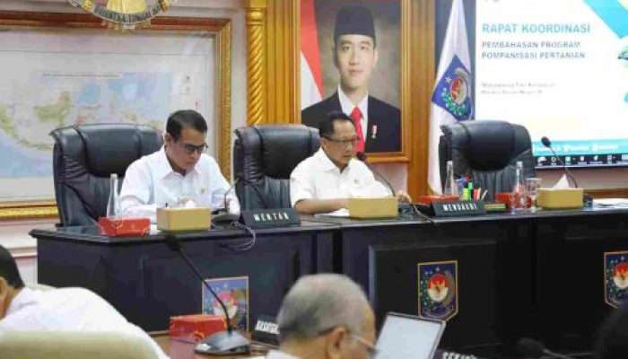 Mendagri: Hadapi Kemarau 2025, Pemda Harus Bergerak Cepat Wujudkan Swasembada Pangan