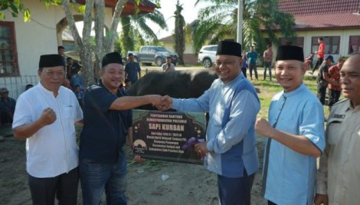 Wabup Siak Serahkan Sapi Qurban Bantuan Presiden untuk Warga Tanjung Pal