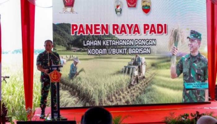 Panglima TNI Panen Raya di Deli Serdang, Dorong Kemandirian Pangan Nasional