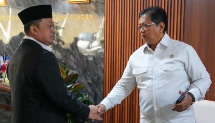 Wamen Viva Yoga Hadiri Rakor Percepatan Pembangunan Kawasan Swasembada Papua Selatan