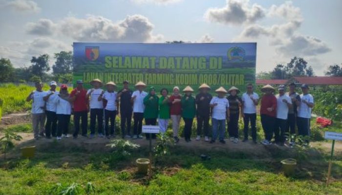Bakti Sosial Dan Senam Bersama, Warnai Acara Tanam Pohon Dan Sebar Bibit Nila Di Lahan Integrated Farming Kodim 0808 Blitar
