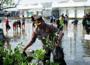 Kapolres Brebes Dukung Gerakan Mageri Segoro, Ribuan Pohon Mangrove Ditanam Serentak di Jawa Tengah
