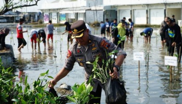 Kapolres Brebes Dukung Gerakan Mageri Segoro, Ribuan Pohon Mangrove Ditanam Serentak di Jawa Tengah