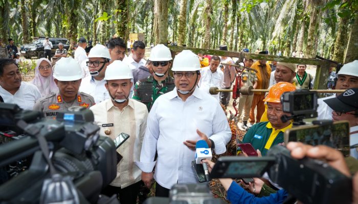Transmigran Sukses Kelola Sawit, Wamen Viva Yoga: Agar Usaha Tetap Berkelanjutan, Kita Rencanakan Replanting