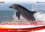 Pesut Muncul di Sungai Rokan! Bupati Rohul Keluarkan Himbauan Penting untuk Warga