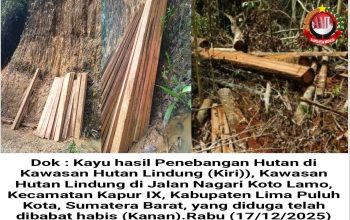 Diduga Dirusak Oknum Tak Bertanggung Jawab, Hutan Lindung 50 Kota Terancam Punah