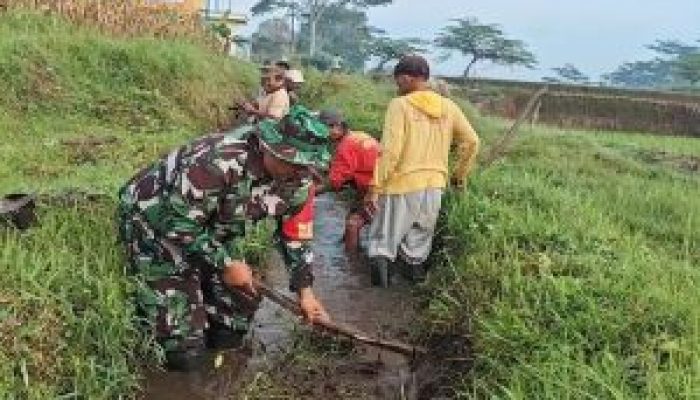 Optimalkan Pasokan Air Sawah, Babinsa Turun Tangan Bersihkan Saluran Irigasi