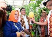 Wamen Viva Yoga Bersepakat dengan Ajik, Produk UMKM Kawasan Transmigrasi Dipasarkan di Toko Oleh-Oleh Krisna Bali