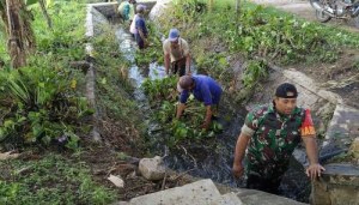Cegah Banjir Musim Hujan, Babinsa Ngaringan Gotong Royong Bersihkan Gorong-Gorong