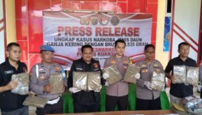 Polres Kuansing Bongkar Jaringan Ganja Lintas Kota, 21 Paket Besar Disita dari Plafon Kos