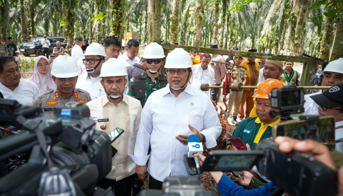 Wamen Viva Yoga Dorong Kawasan Transmigrasi Sebagai Sentra Pertumbuhan UMKM