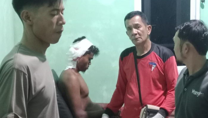 Pria di Pelalawan Diserang Harimau Sumatera saat Istirahat di Atas Pompong