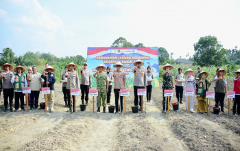 Dukung Swasembada Pangan Nasional, Pemkab Kampar dan Polres Kampar Laksanakan Penanaman Jagung Pipil Serentak di Desa Ridan Permai