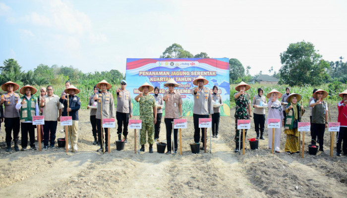 Dukung Swasembada Pangan Nasional, Pemkab Kampar dan Polres Kampar Laksanakan Penanaman Jagung Pipil Serentak di Desa Ridan Permai