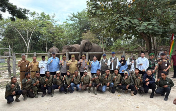 Bupati Pelalawan Dampingi Kapolri Dalam Kunjungan Kerja ke Taman Nasional Tesso Nilo