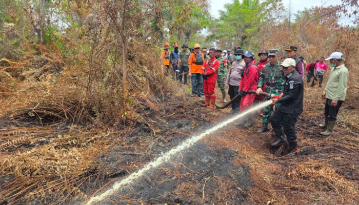 Patroli Udara Pastikan Kondisi Karhutla Pelalawan Terkendali