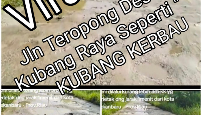 BERITA TERKINI!!! Jalan Seperti Kubangan Kerbau! Warga Jalan Teropong I Kampar Geram, 14 Tahun Menanti Perhatian Pemerintah Provinsi Riau dan Kabupaten Kampar Tak Kunjung Di Perhatikan
