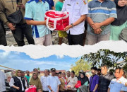 Salurkan Bantuan Sandang dan Pangan, Dinsos Pekanbaru: Sudah Diterima 50 KK Korban Kebakaran Rumah